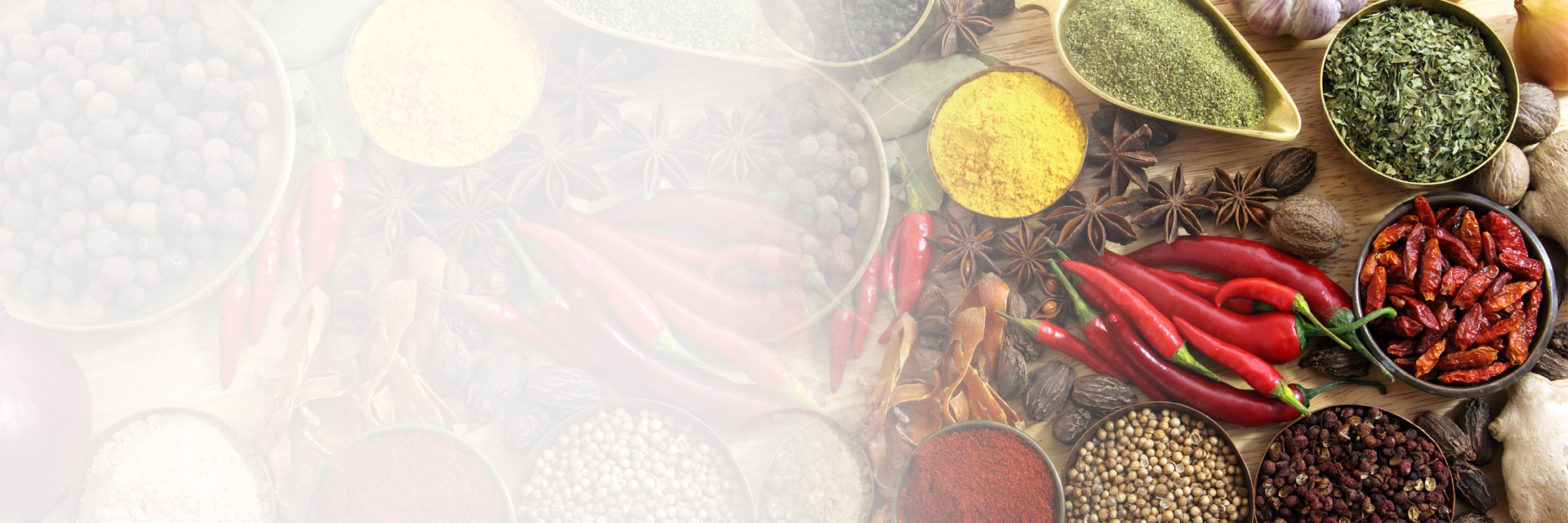 Homepage Microtrol Sterilisation Services Pvt Ltd.